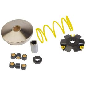 C4 Variator for 139 QMB 4T 50 Engine