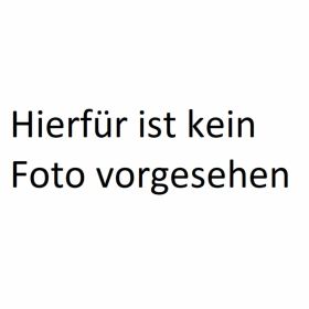 TECNIGAS GP4 Schalldämpfer europäische Zulassung ohne Krümmer und Halterung