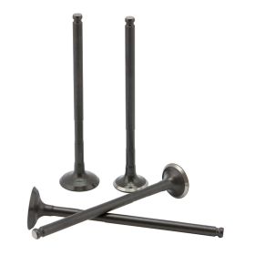 Komplettes Motor 4-Ventil-Kit TNT