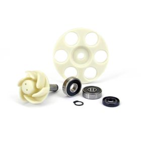 TNT 093610 WATER PUMP OVERHAUL KIT