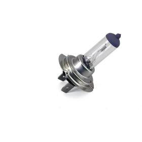 TNT 220091 MOTORCYCLE BULB