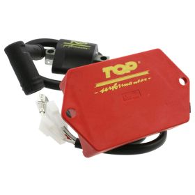 TOP PERFORMANCES T9921690 Motorcycle control unit