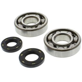 TOURMAX CBK-009 Wellenlager- und Dichtungen-Kit für Kawasaki KX