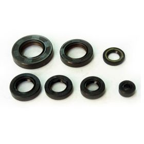 TOURMAX OSL-101 Engine Seal Gasket Kit for Honda