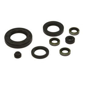 TOURMAX OSL-421 Engine Seal Kit for Kawasaki Z