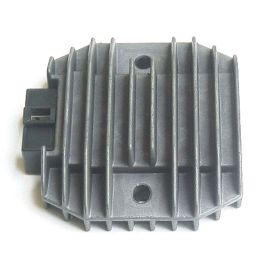 Régulateur de tension TOURMAX RGU-210