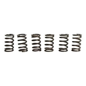 Kit 6 molle frizione TRW MEF123-6