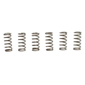 TRW MEF138-6 Kupplungsfederkit 6 für Kawasaki