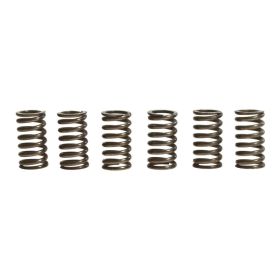 TRW Kupplungsfederkit MEF141-6 6 Federn