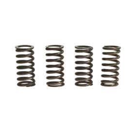 TRW Kupplungsfederkit MEF147-4 für Honda
