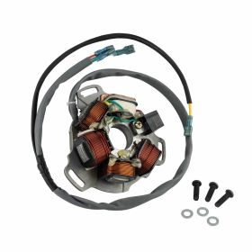 UNI Auto Stator 12V 120W 5 Coils and 4 Wires Included