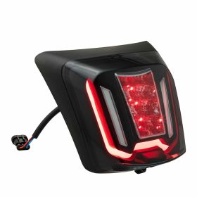 Fanale posteriore ZELIONI in vetro nero opaco con LED e omologazione europea