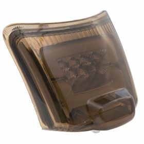 ZELIONI Rear LED Light Black Glass with Bulbs and European Approval