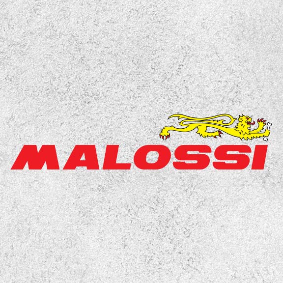 Malossi: Made in Italy exhausts with a sporty character